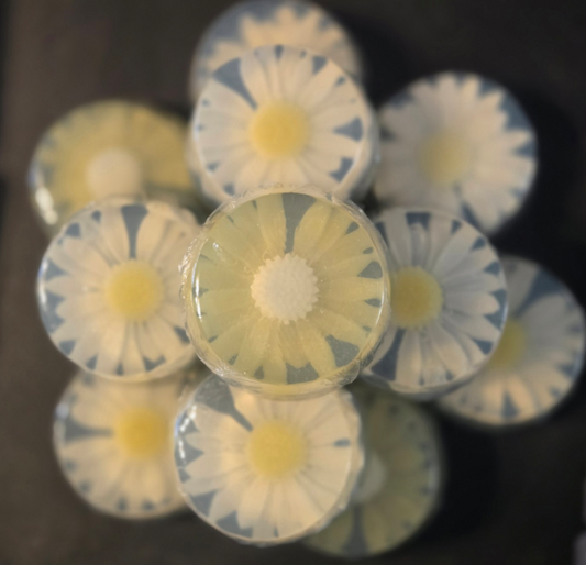 Daisy Duo