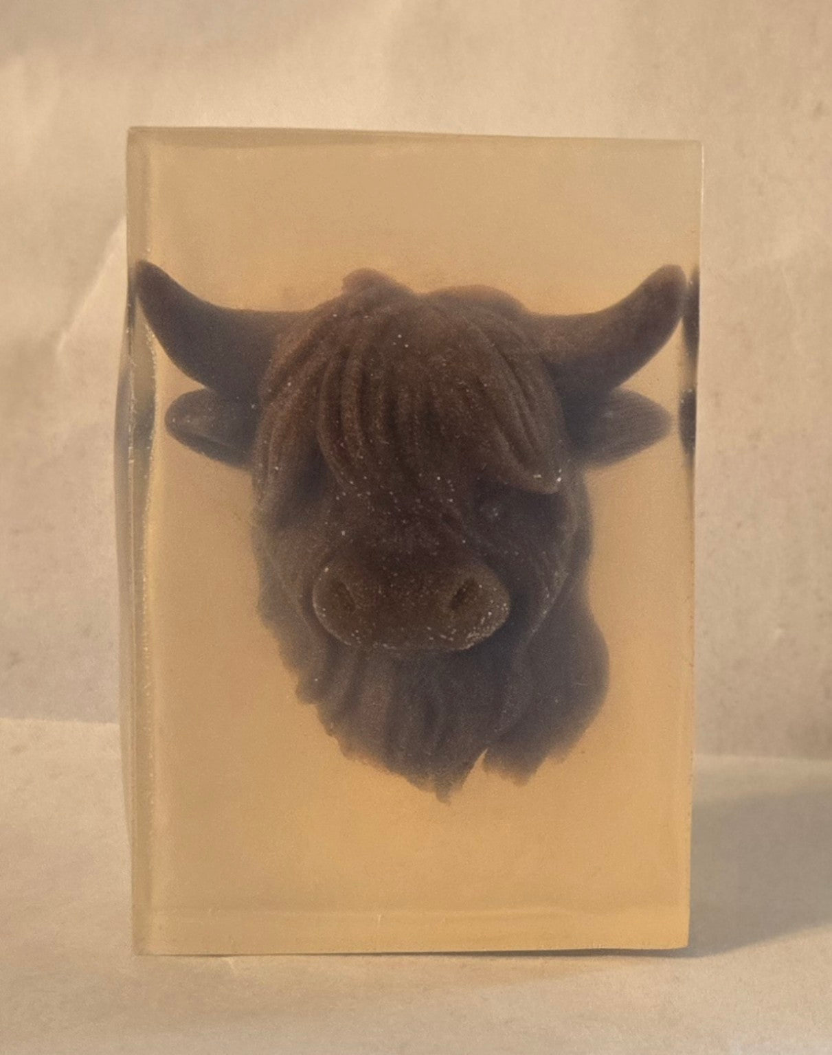 Highland MudMoo
