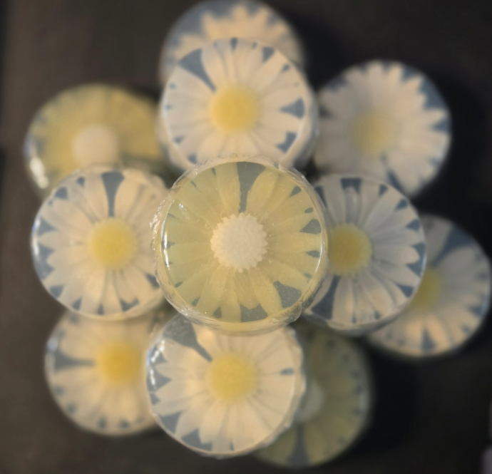 Daisy Duo