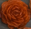 Peony- Red