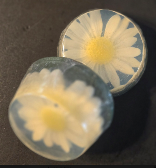 Daisy Duo- White