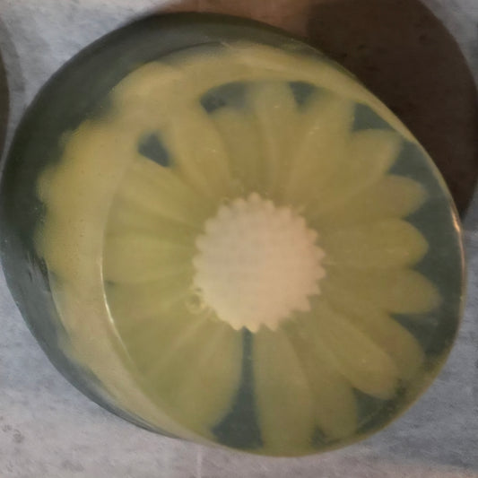 Daisy Duo- Yellow