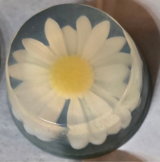 Daisy Duo- White
